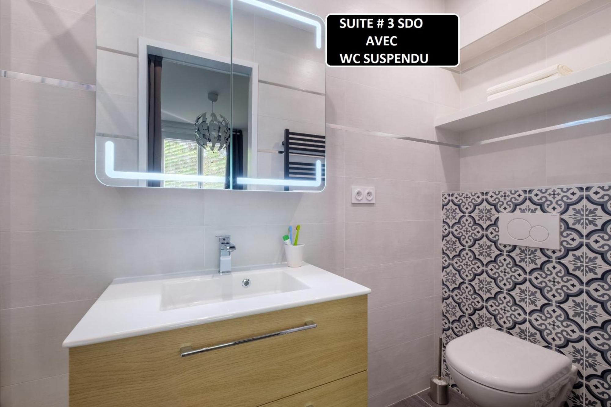 Appart 3 Suites-Chaque Suite Avec Sdo Wc Privatifs - Cuisine Commune タッサン・ラ・ドゥミ・リュンヌ エクステリア 写真