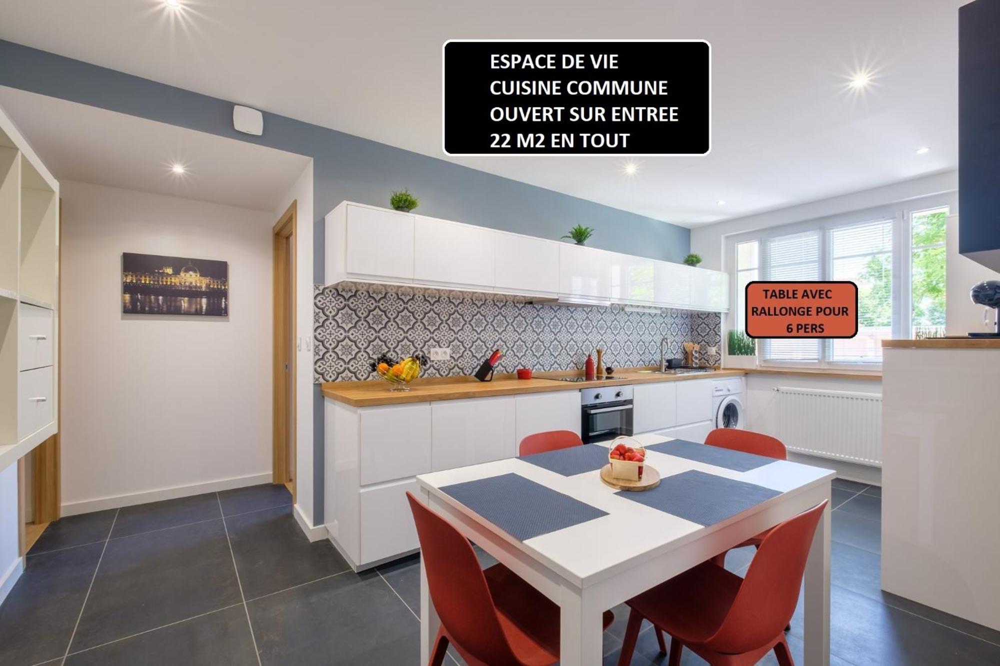 Appart 3 Suites-Chaque Suite Avec Sdo Wc Privatifs - Cuisine Commune タッサン・ラ・ドゥミ・リュンヌ エクステリア 写真